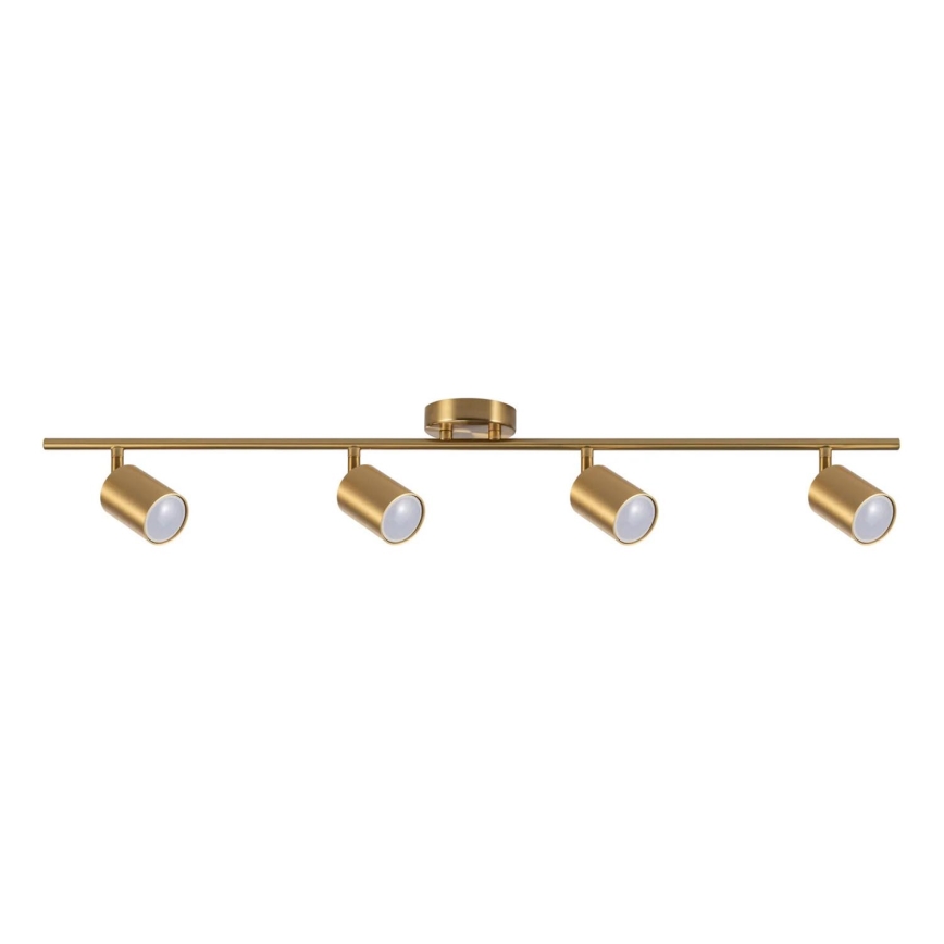 Spot GOLDI 4xGU10/10W/230V goud