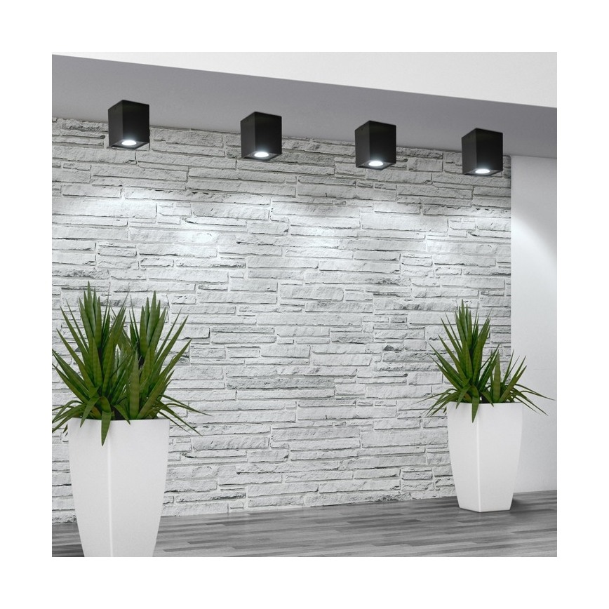 Spot HADAR Q1 1xGU10/10W/230V zwart