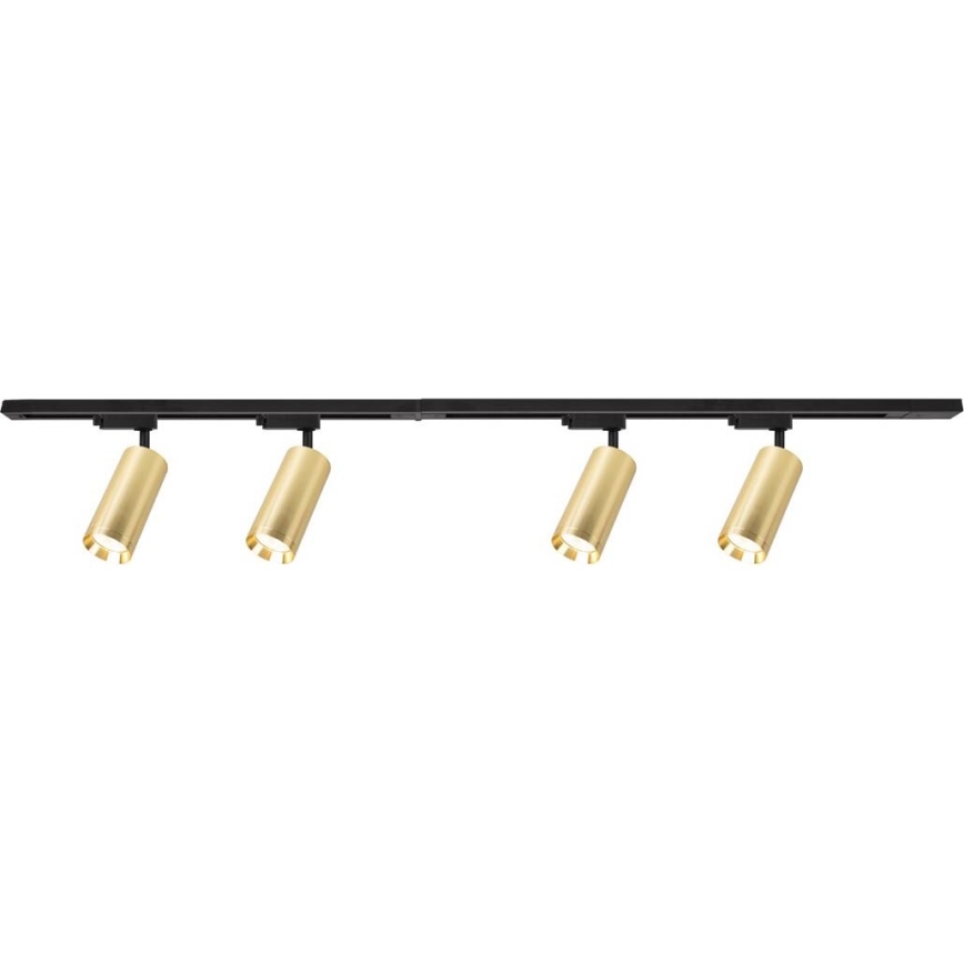 Spot in een rail systeem MICA 4xGU10/10W/230V goud/zwart