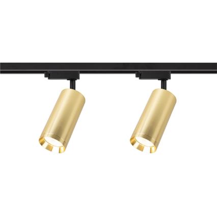 Spot in een rail systeem MICA 4xGU10/10W/230V goud/zwart