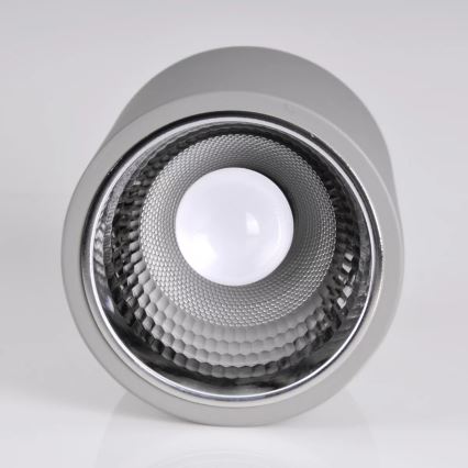Spot JUPITER 1xE27/20W/230V diameter 16,5 cm grijs