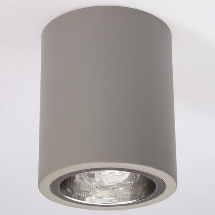 Spot JUPITER 1xE27/20W/230V diameter 9,8 cm grijs
