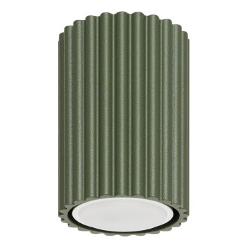 Spot KARBON 1xGU10/10W/230V 10 cm groen