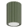 Spot KARBON 1xGU10/10W/230V 10 cm groen