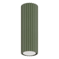 Spot KARBON 1xGU10/10W/230V 20 cm groen
