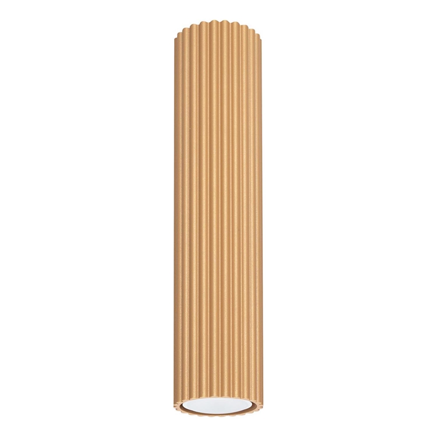 Spot KARBON 1xGU10/10W/230V 30 cm goud