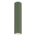 Spot KARBON 1xGU10/10W/230V 30 cm groen