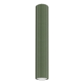 Spot KARBON 1xGU10/10W/230V 40 cm groen