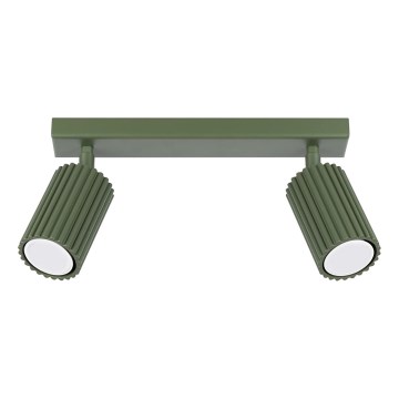 Spot KARBON 2xGU10/10W/230V groen