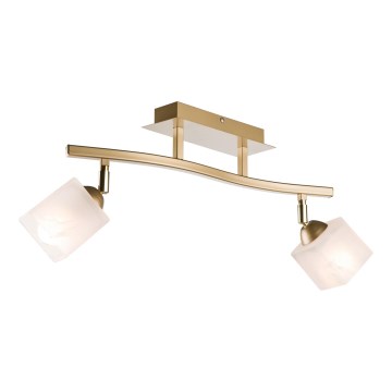 Spot KLARA 2xE14/40W/230V goud