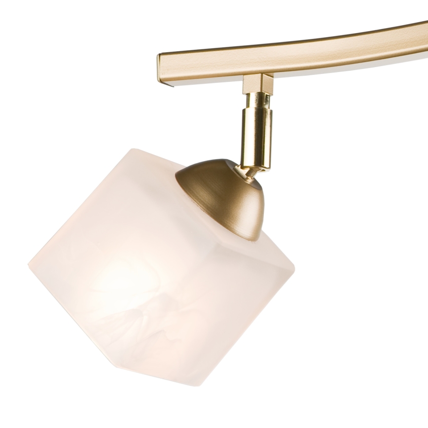 Spot KLARA 2xE14/40W/230V goud