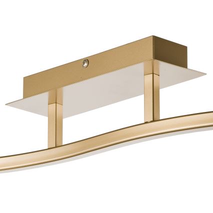 Spot KLARA 2xE14/40W/230V goud