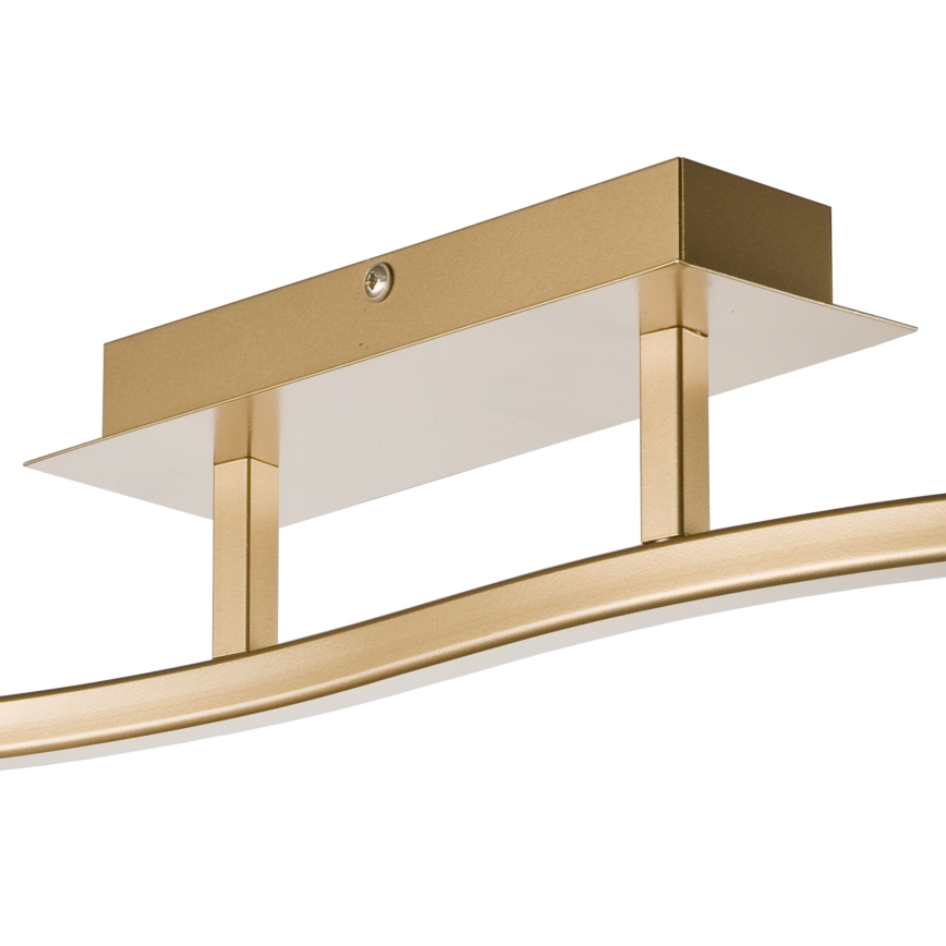 Spot KLARA 2xE14/40W/230V goud