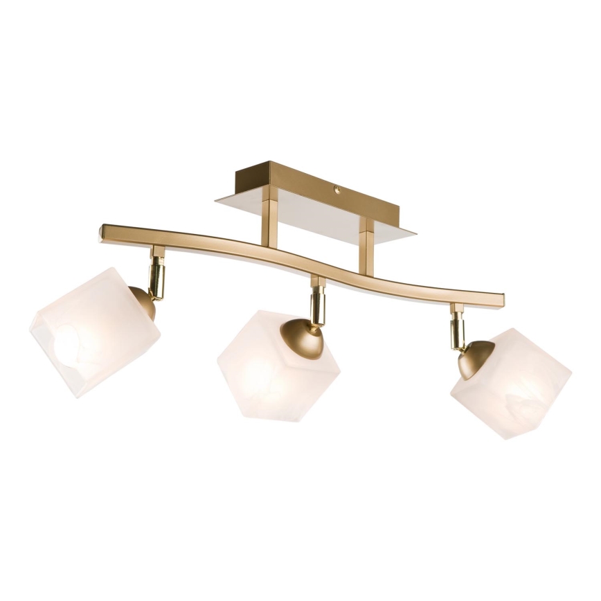 Spot KLARA 3xE14/40W/230V goud