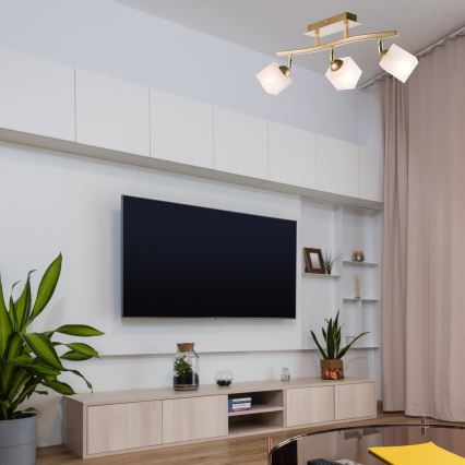 Spot KLARA 3xE14/40W/230V goud