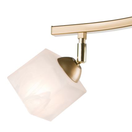Spot KLARA 3xE14/40W/230V goud