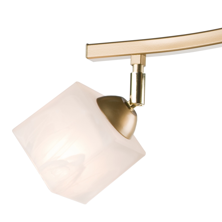 Spot KLARA 3xE14/40W/230V goud