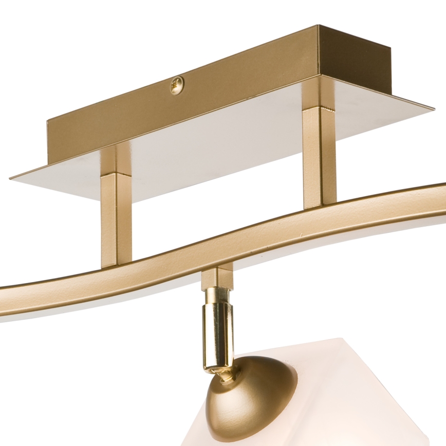 Spot KLARA 3xE14/40W/230V goud
