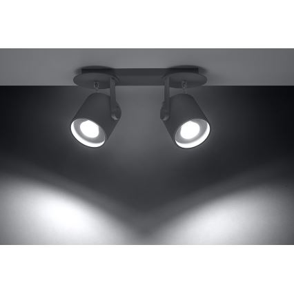Spot LAROSA 2 2xGU10/40W/230V grijs
