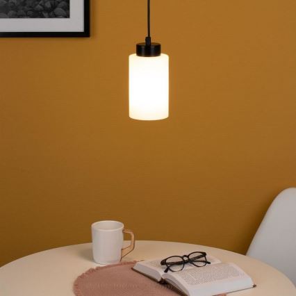 Hanglamp aan kabel BOSCO 1xE27/60W/230V