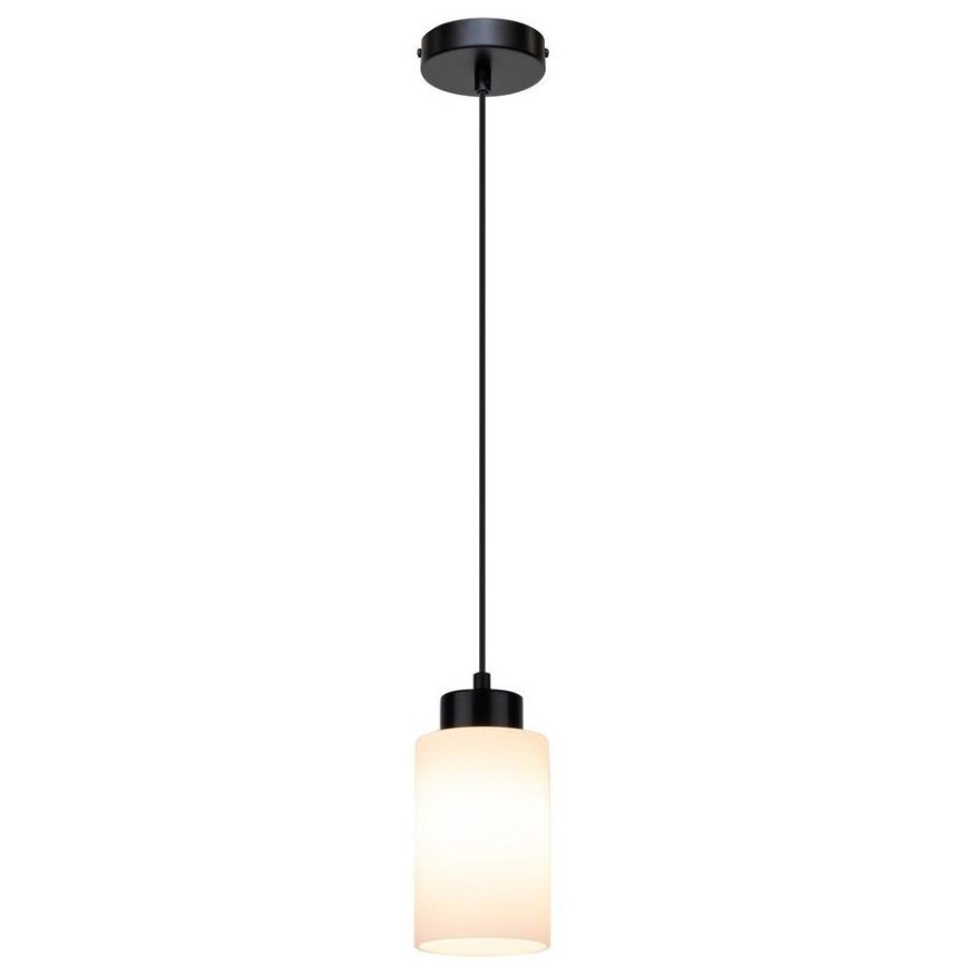 Hanglamp aan kabel BOSCO 1xE27/60W/230V