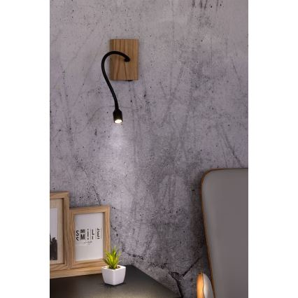 LED-wandlamp LECTOR LED/2,5W/230V eik