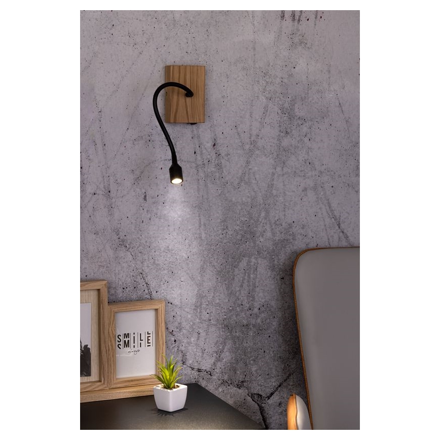 LED-wandlamp LECTOR LED/2,5W/230V eik