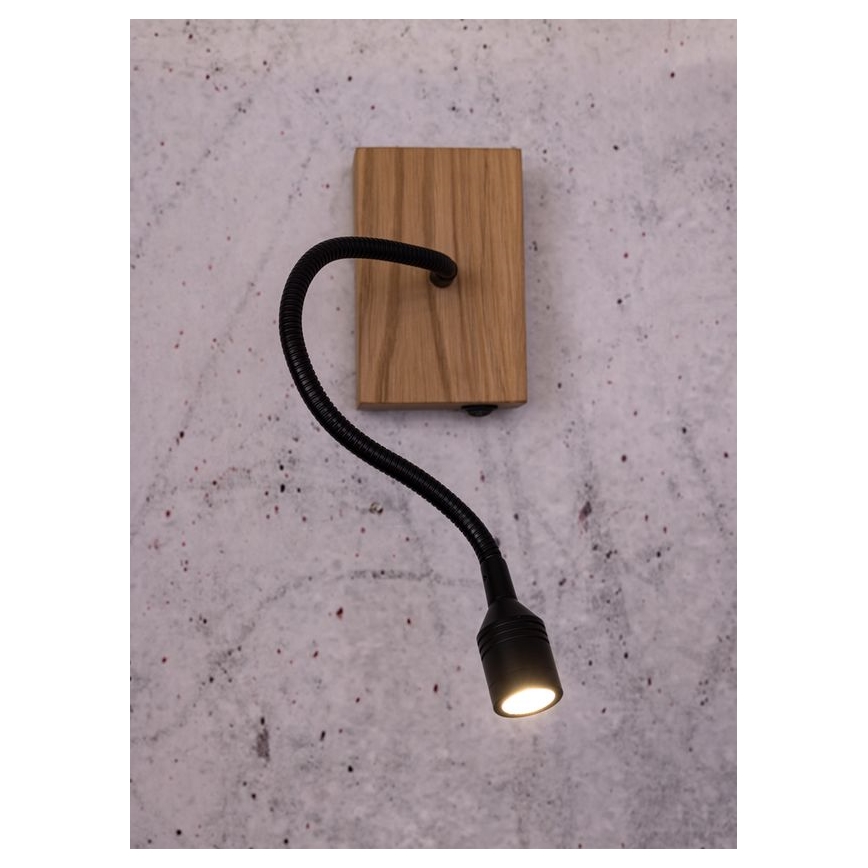 LED-wandlamp LECTOR LED/2,5W/230V eik