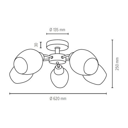 Plafondlamp PARMA 5xE27/40W/230V - FSC gecertificeerd