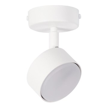 Spot NEMO 1xGX53/12W/230V wit