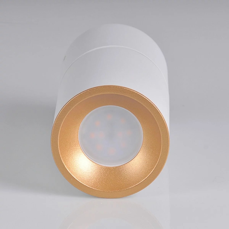 Spot NIXA 1xGU10/10W/230V wit/gouden