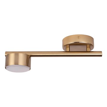 Spot PUNTO 1xGX53/12W/230V goud