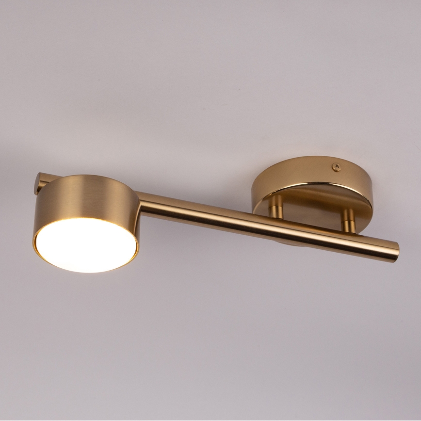 Spot PUNTO 1xGX53/12W/230V goud