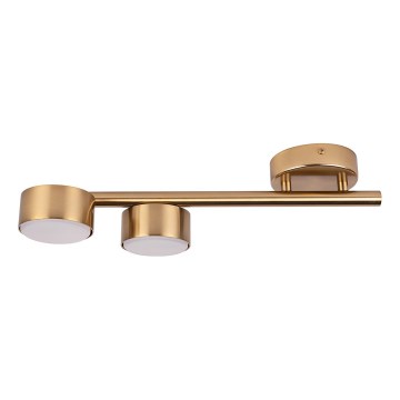 Spot PUNTO 2xGX53/12W/230V goud
