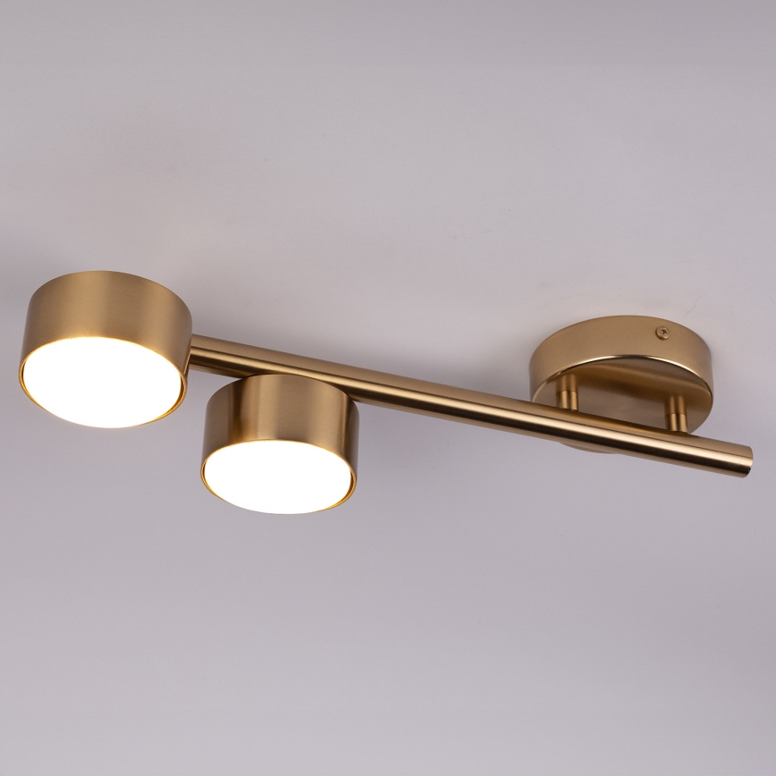 Spot PUNTO 2xGX53/12W/230V goud