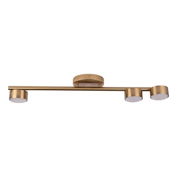 Spot PUNTO 3xGX53/12W/230V goud