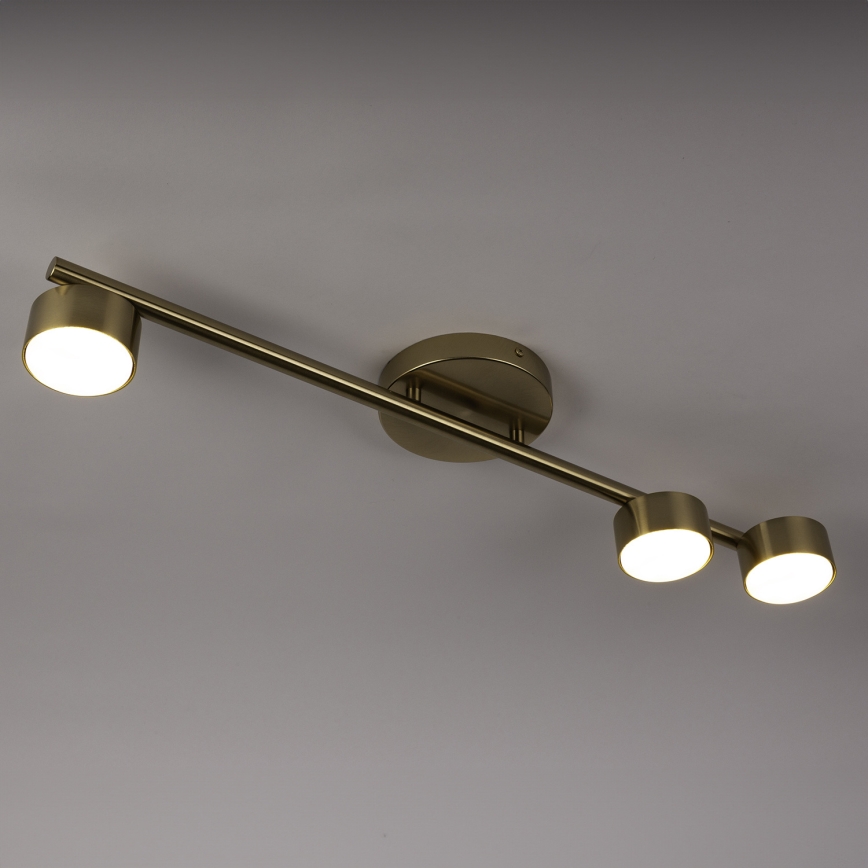 Spot PUNTO 3xGX53/12W/230V goud