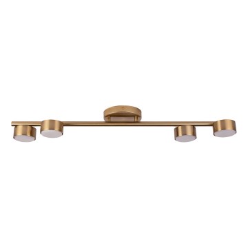 Spot PUNTO 4xGX53/12W/230V goud