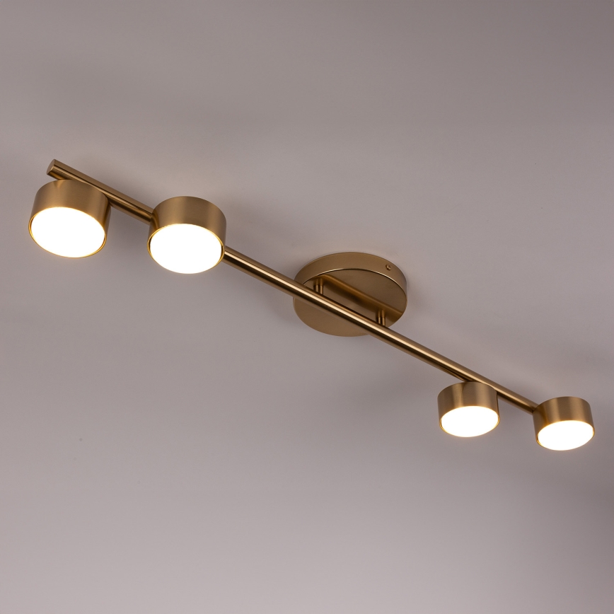 Spot PUNTO 4xGX53/12W/230V goud