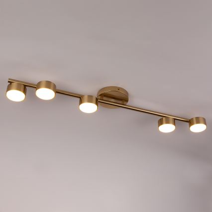 Spot PUNTO 5xGX53/12W/230V goud