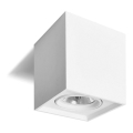 Spot QUANDO G53/50W/230V