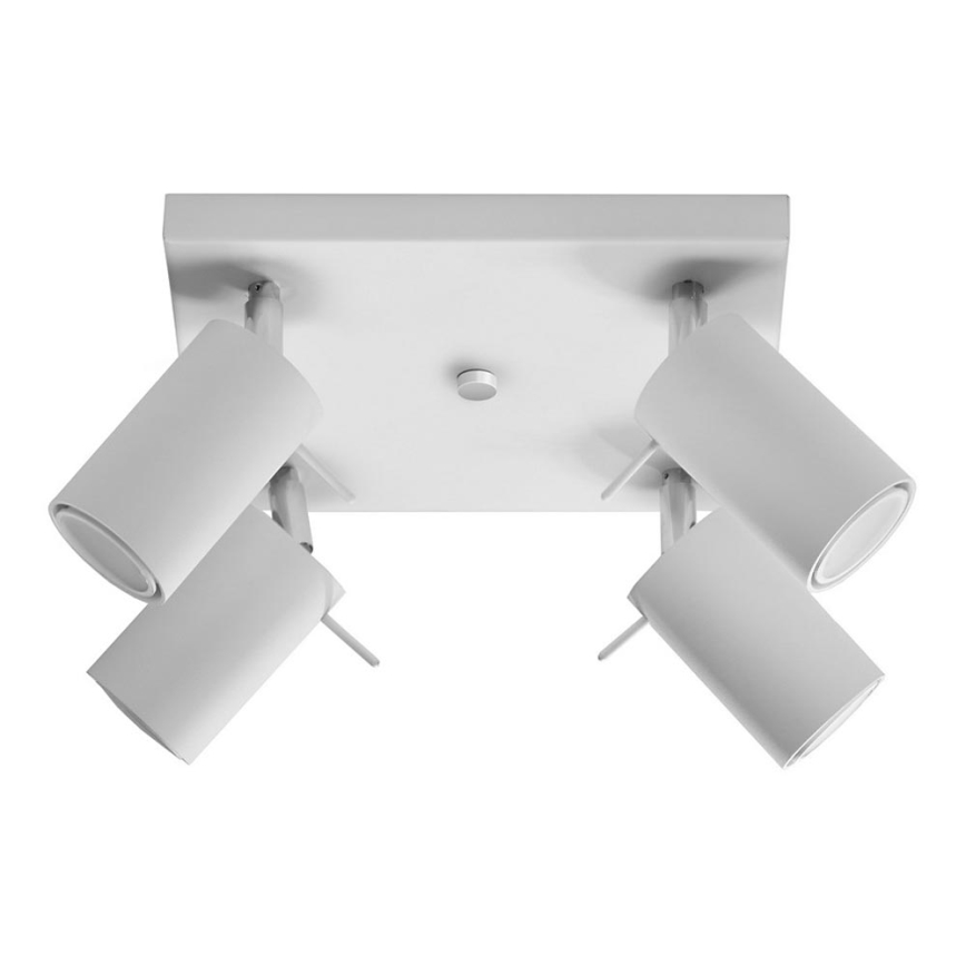 Spot RING 4 4xGU10/10W/230V wit