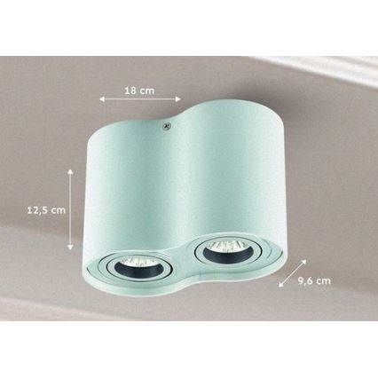 Spot TUBA 1xGU10/50W/230V wit