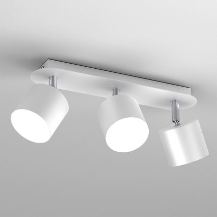 Spot Verlichting DIXIE 3xGX53/11W/230V wit