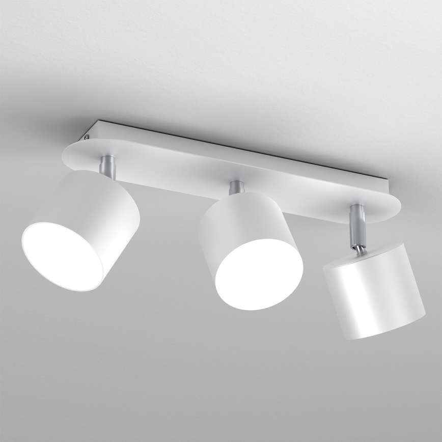 Spot Verlichting DIXIE 3xGX53/11W/230V wit