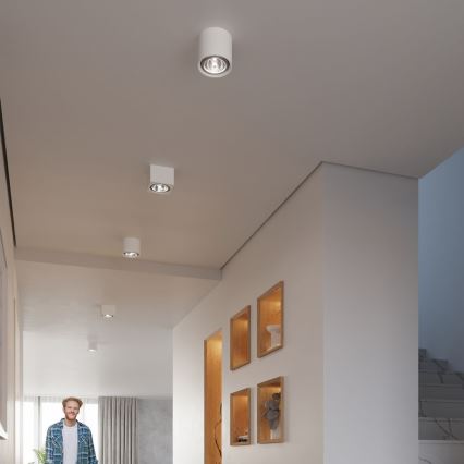 Spot verlichting KALU 1x GU10 / 40W / 230V