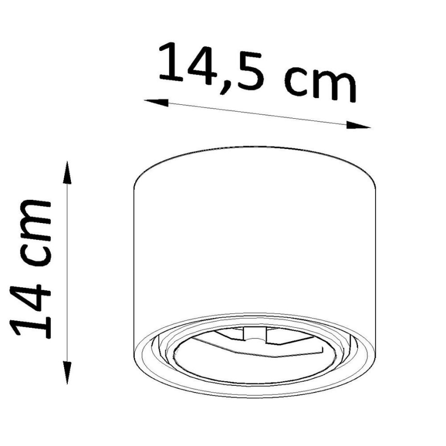 Spot verlichting KALU 1x GU10 / 40W / 230V