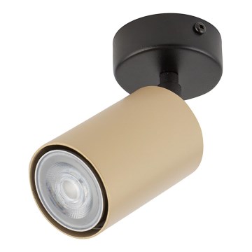 Spot Verlichting ZOOM 1xGU10/25W/230V zwart/goud