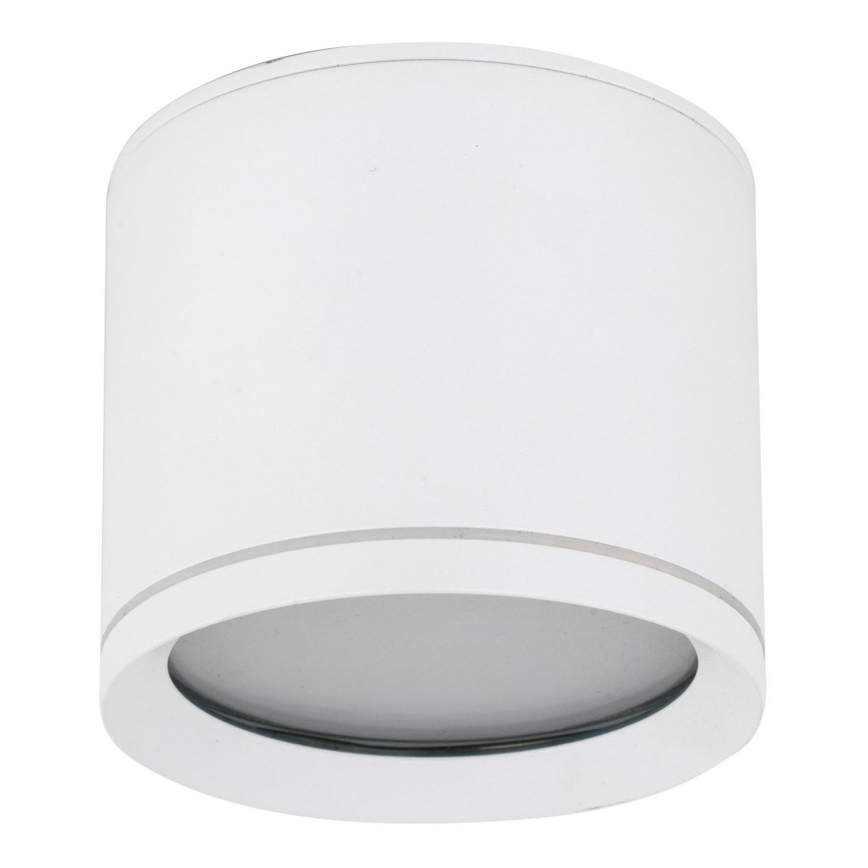 Spot VIVO 1xGX53/10W/230V 10 cm wit