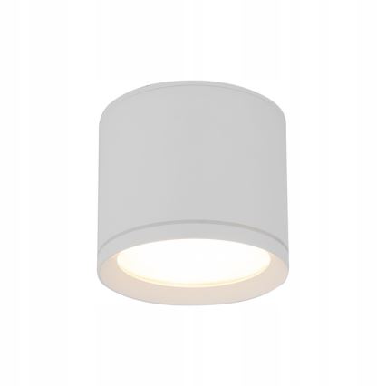 Spot VIVO 1xGX53/10W/230V 10 cm wit